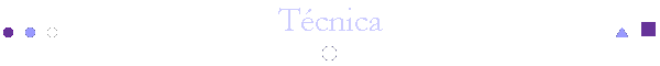 T�cnica